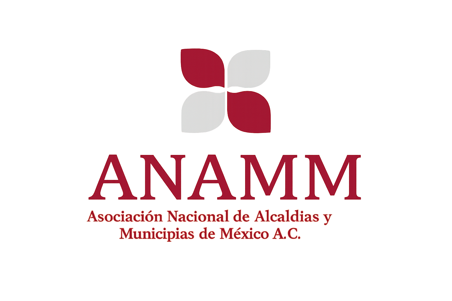 Asociación Nacional de Alcaldías y Municipios de México, A.C. (ANAMM)